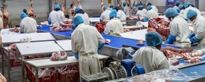 Abattoir &amp; Meat Processing
